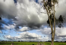 武汉装修热门论坛天涯，装修难题一网打尽！