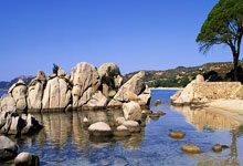 杨幂李易峰天涯论坛大事件，番1糖2误会交织成话题热聊！